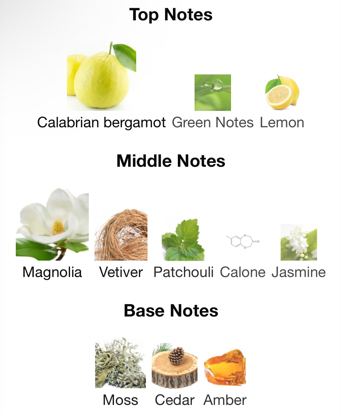 Frederic Malle - Eau de Magnolia