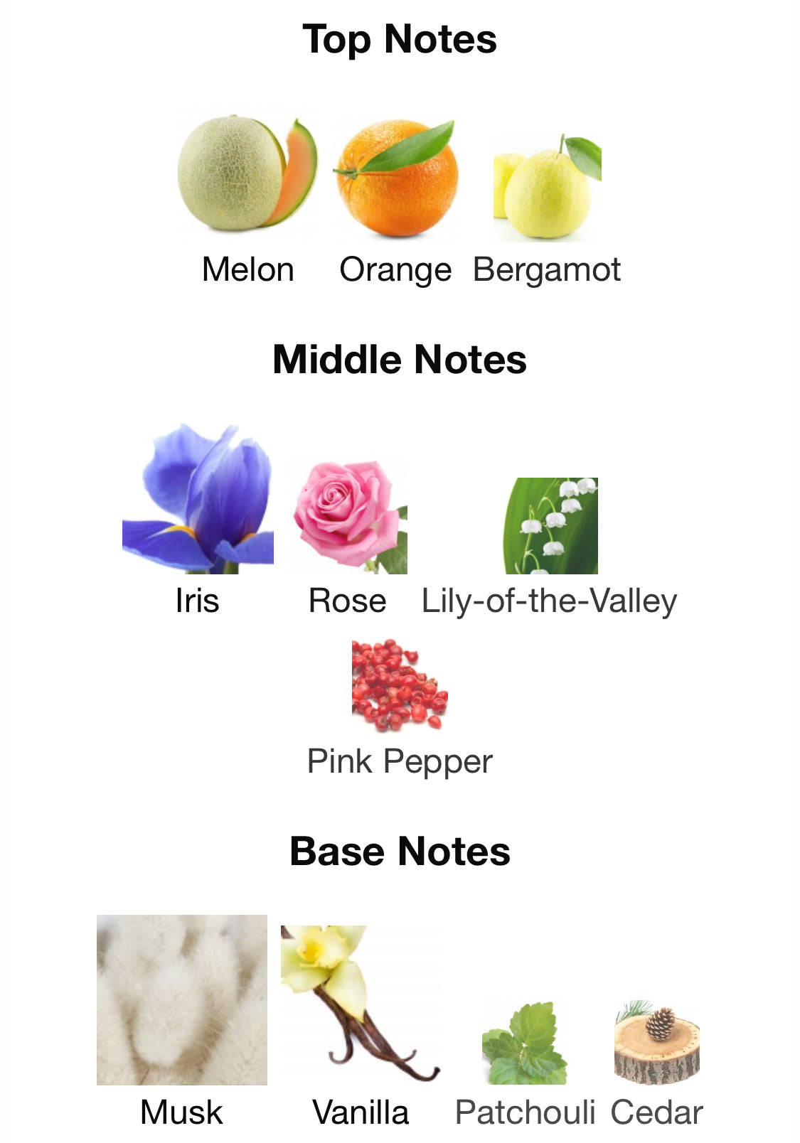 Xerjoff - Shooting Stars Lua