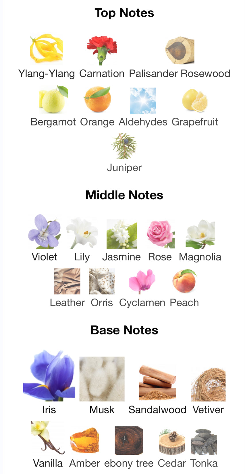 Frederic Malle - Iris Poudre