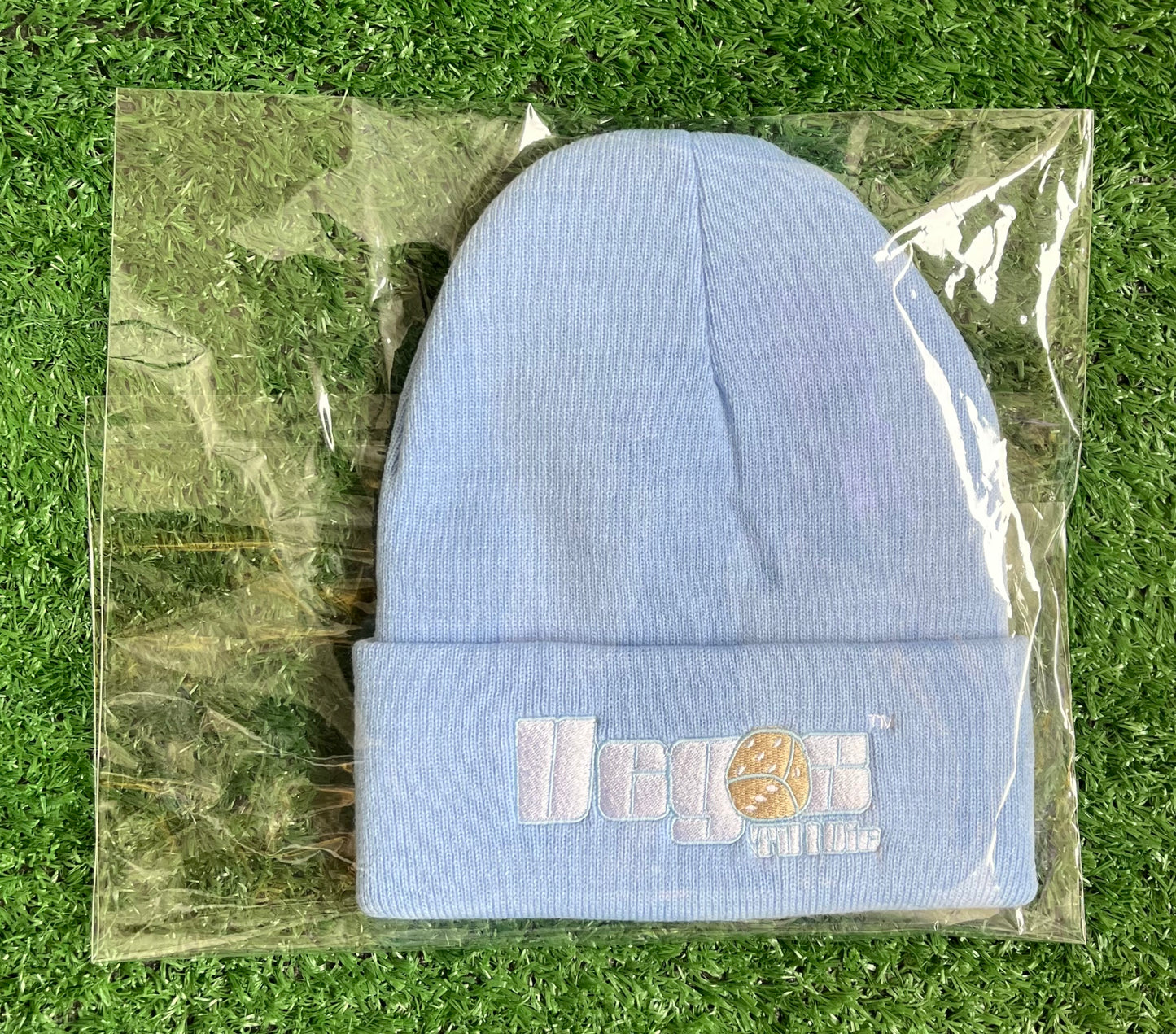 Vegas Til I Die™ - ‘Powder Blue & Mocha’ Satin Lined Beanie