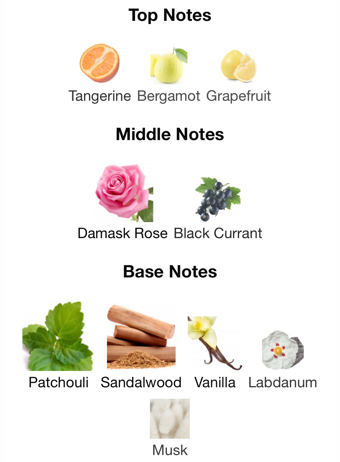 Xerjoff - Stone Label 17/17 Richwood