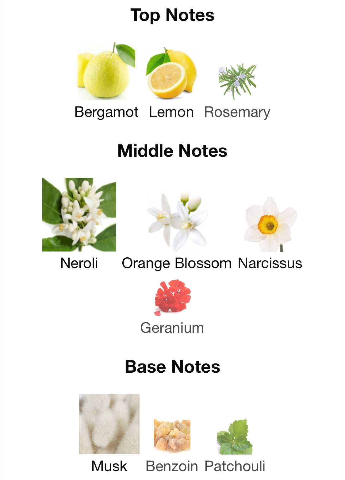 Frederic Malle - Cologne Indélébile