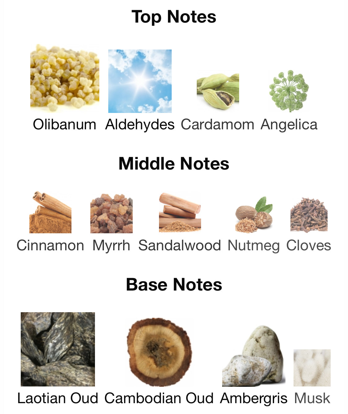 Masque Milano - Mandala Oud