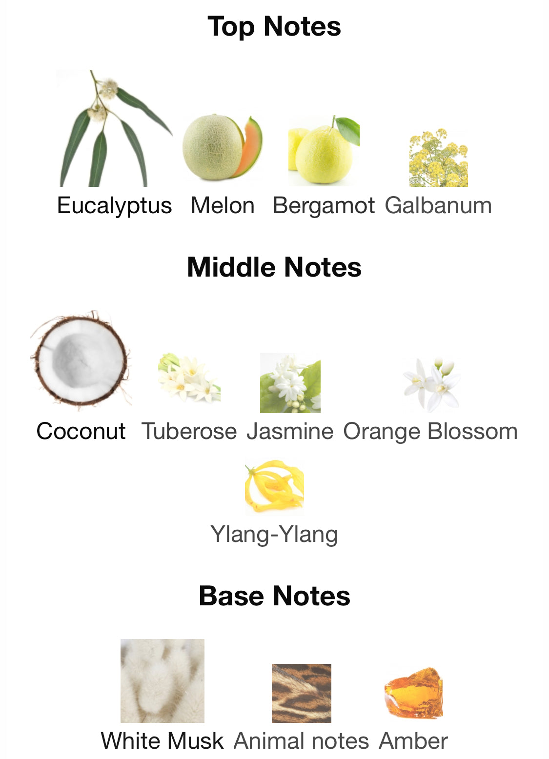 Frederic Malle - Carnal Flower