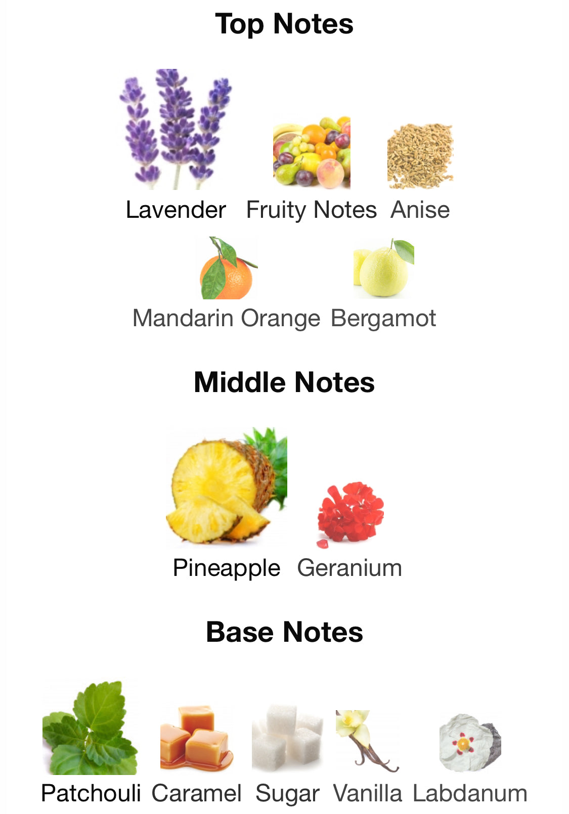 Frederic Malle - Music For a While