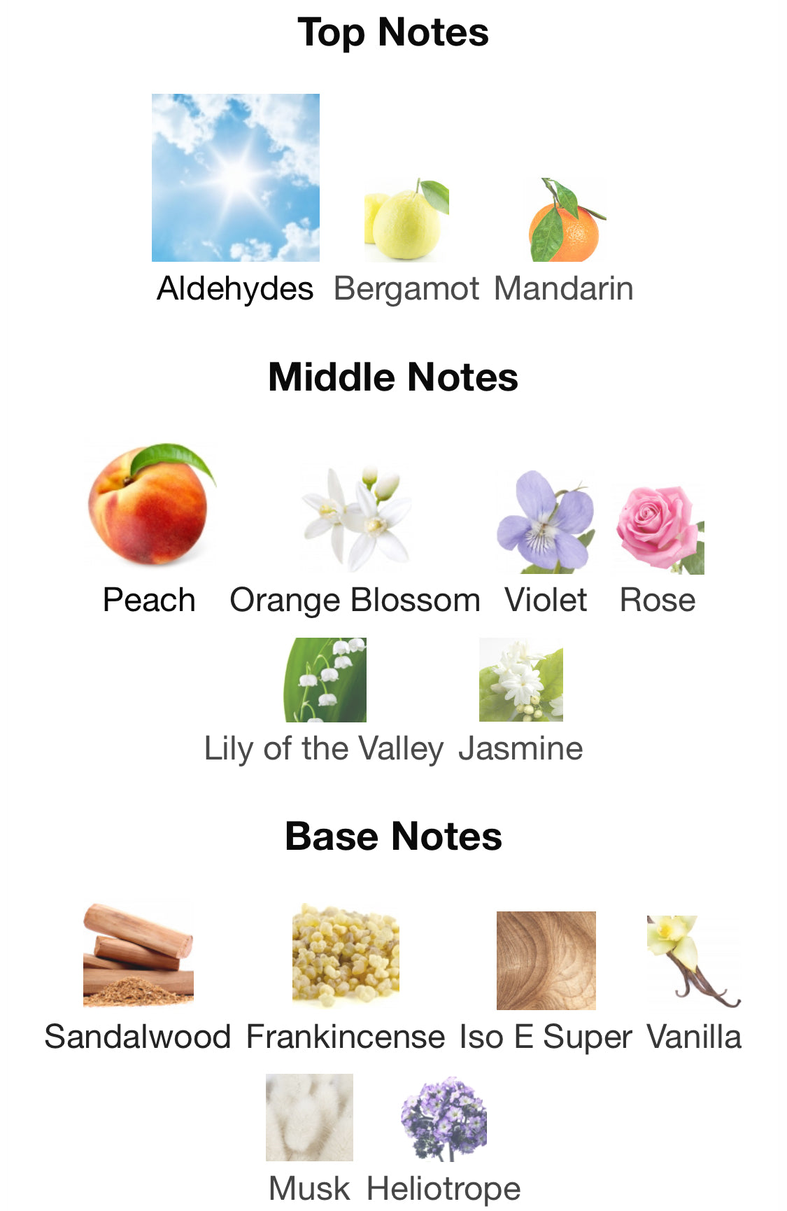 Frederic Malle - Acne Studios