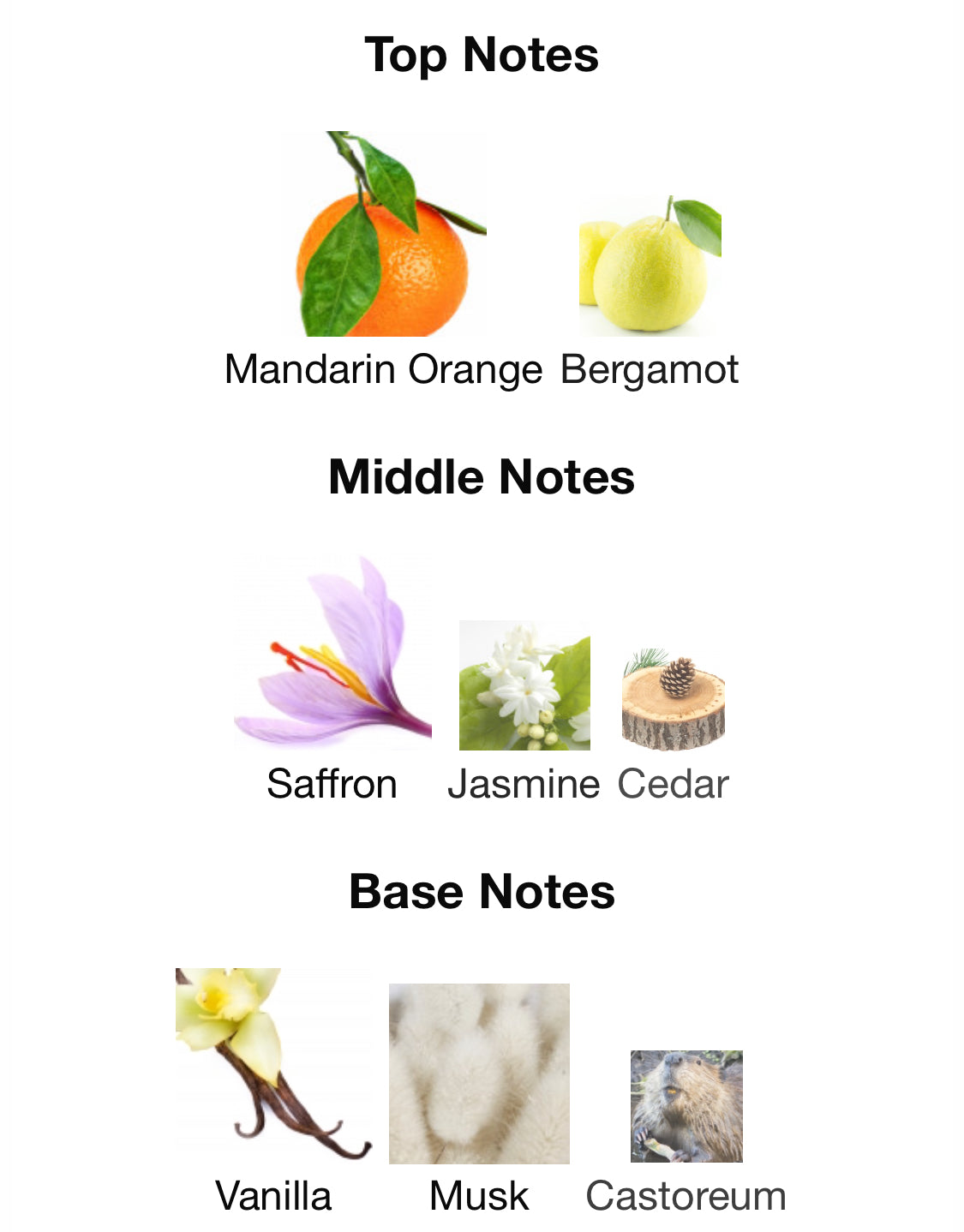 Xerjoff - Shooting Stars Blue Hope