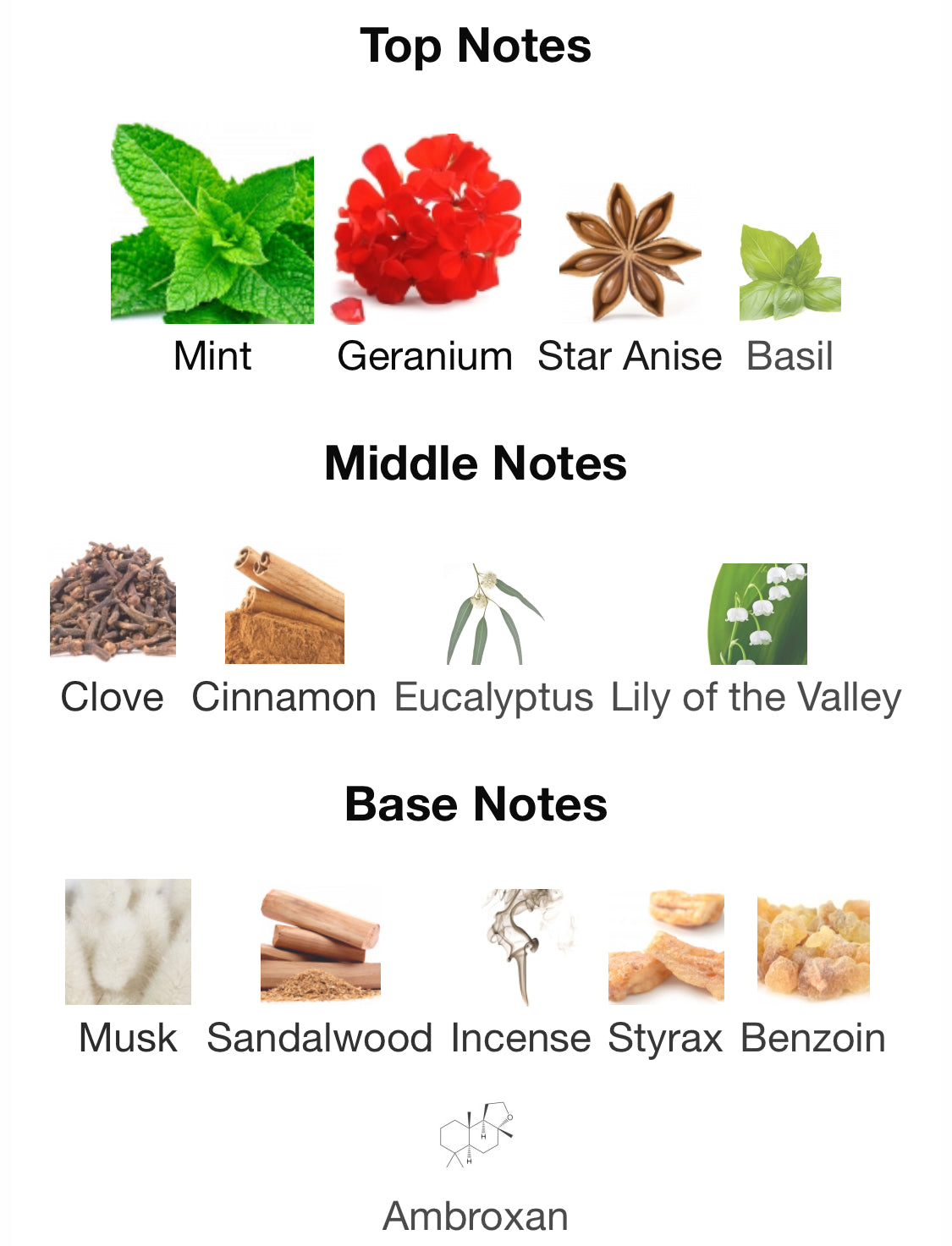 Frederic Malle - Geranium Pour Monsieur