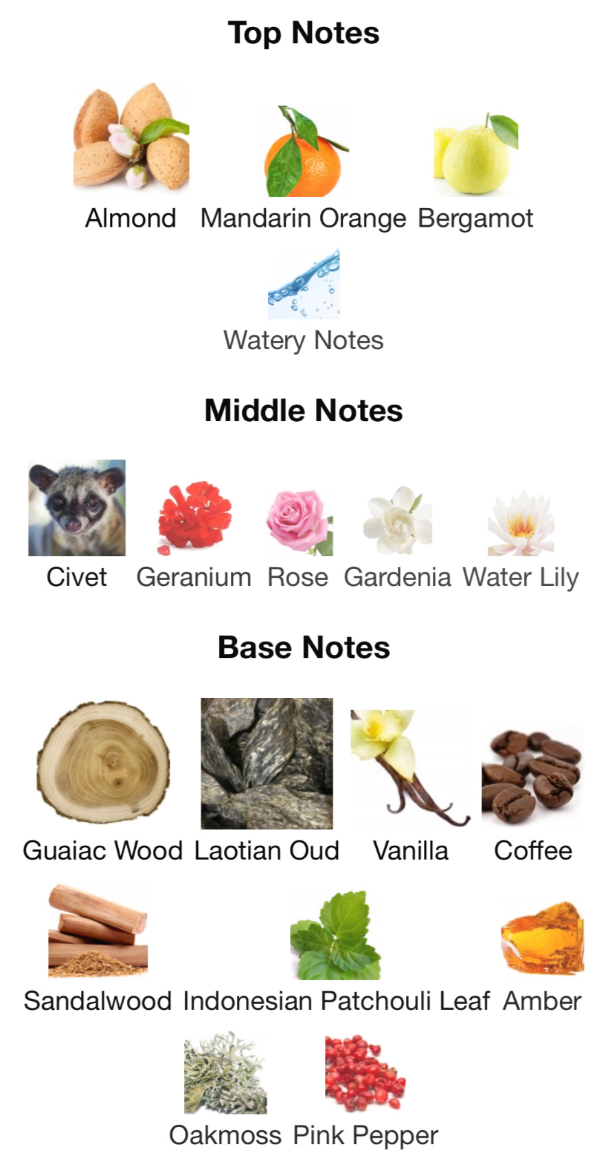 Parfums de Marly - Layton