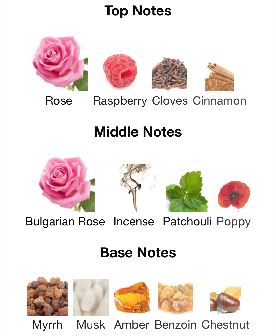 Tiziana Terenzi - Porpora