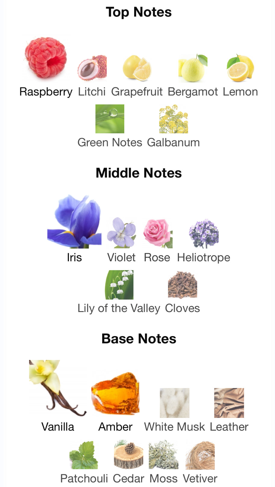 Frederic Malle - Lipstick Rose