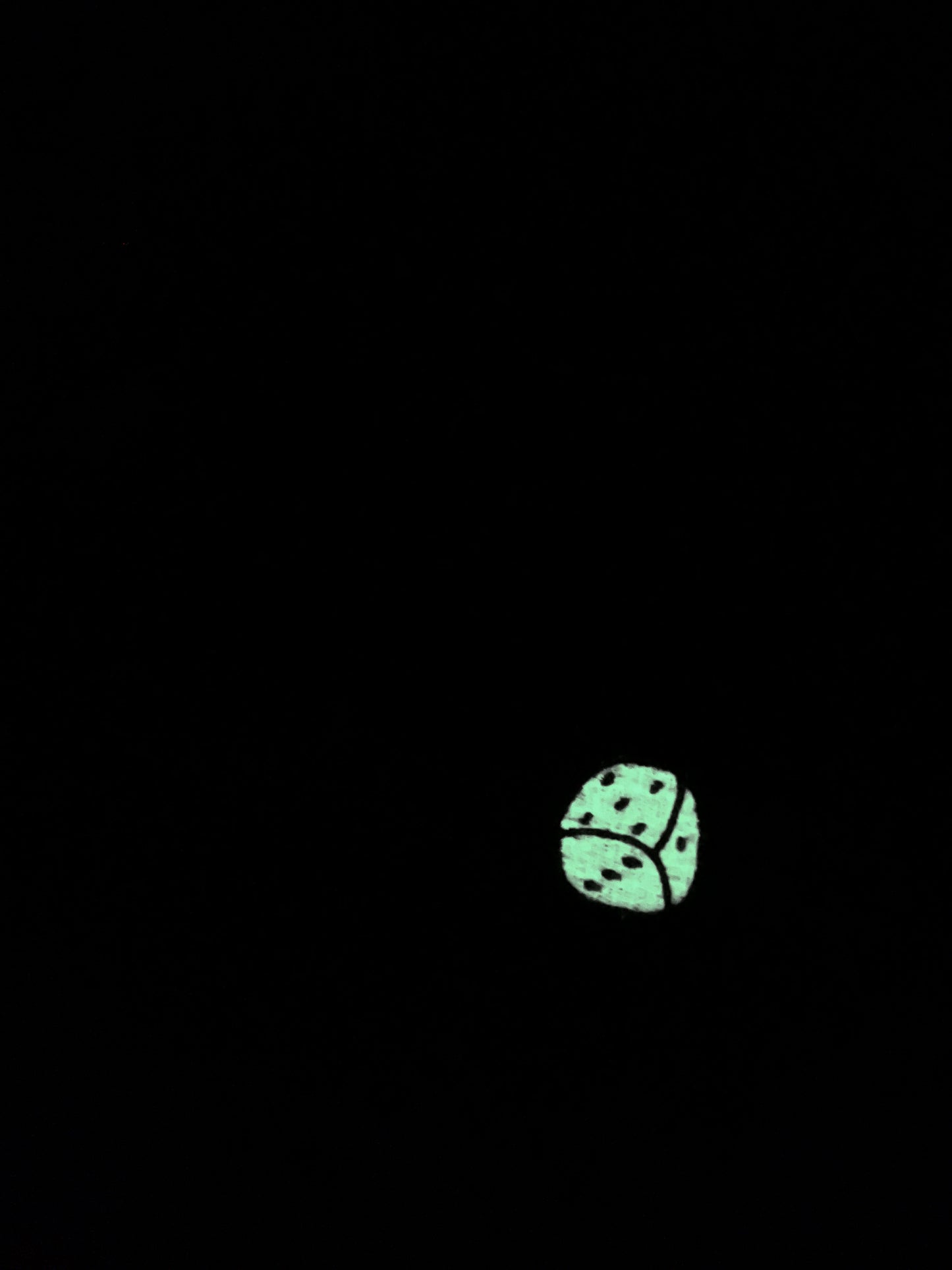 Vegas Til I Die™ - ‘City Glow’ Reflective Knit Beanie