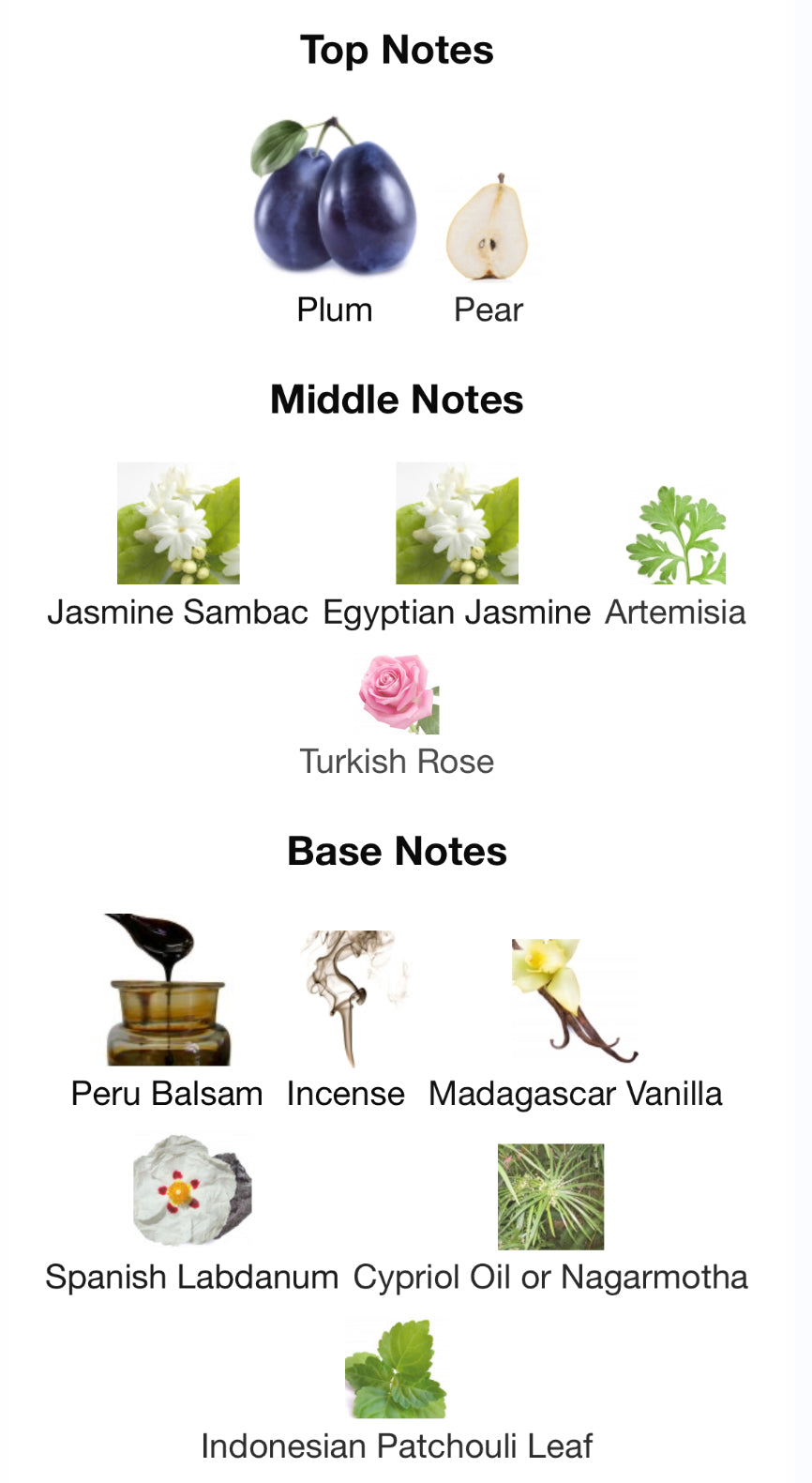 BDK Parfums - Wood Jasmin