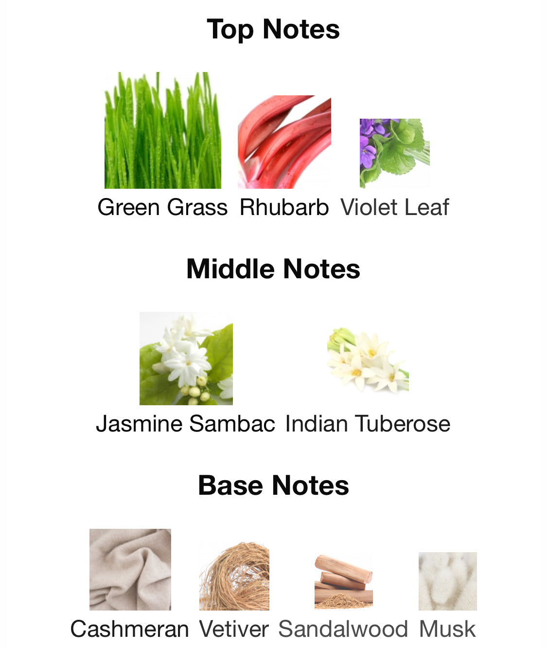 Masque Milano - Catherine