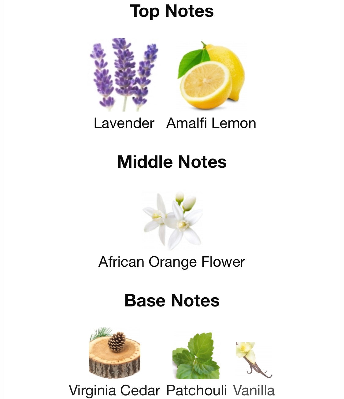 Gucci - Gucci Guilty (EDT)