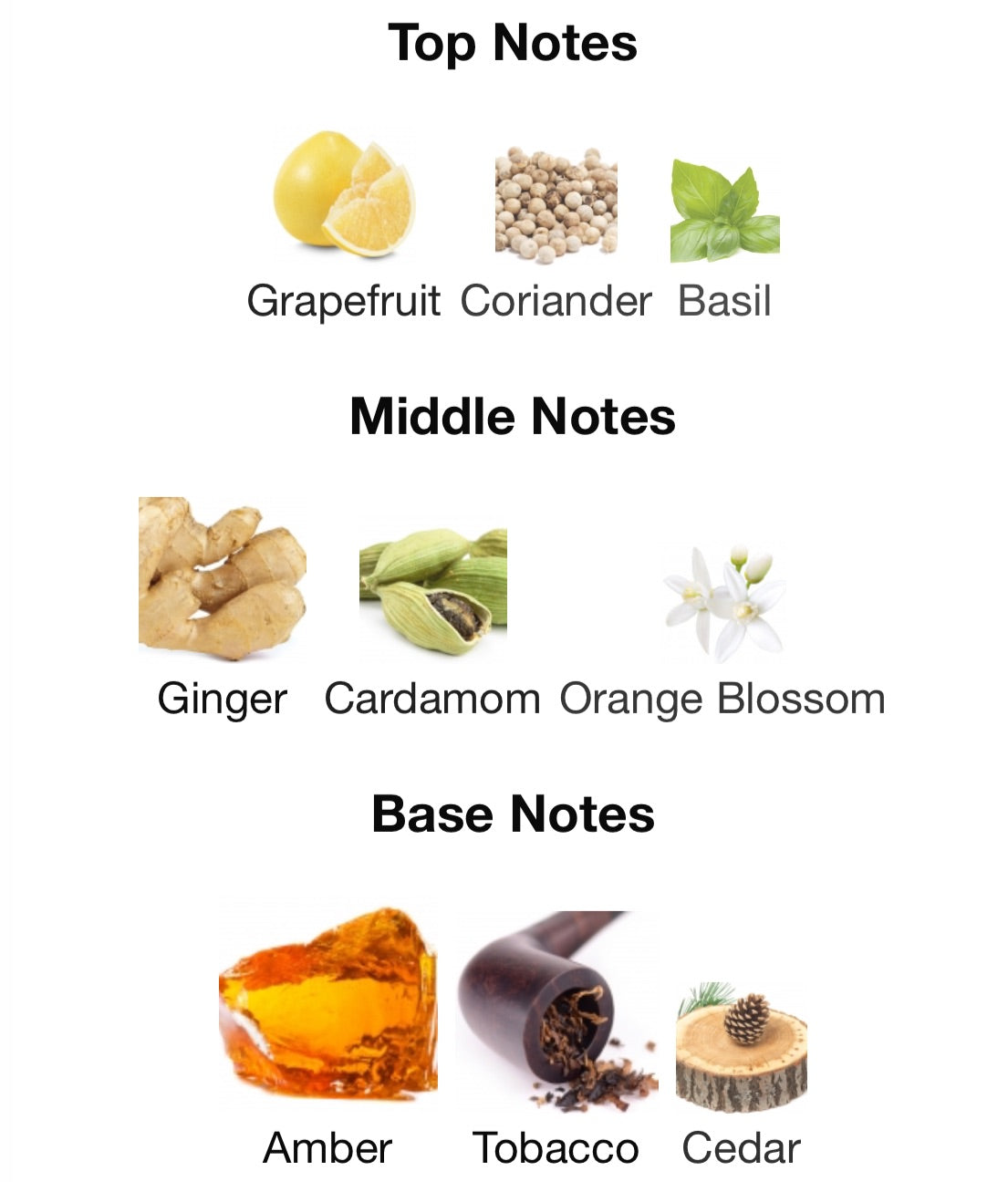 Dolce & Gabbana - The One (EDP)