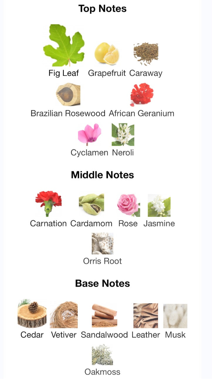 Salvatore Ferragamo - Pour Homme