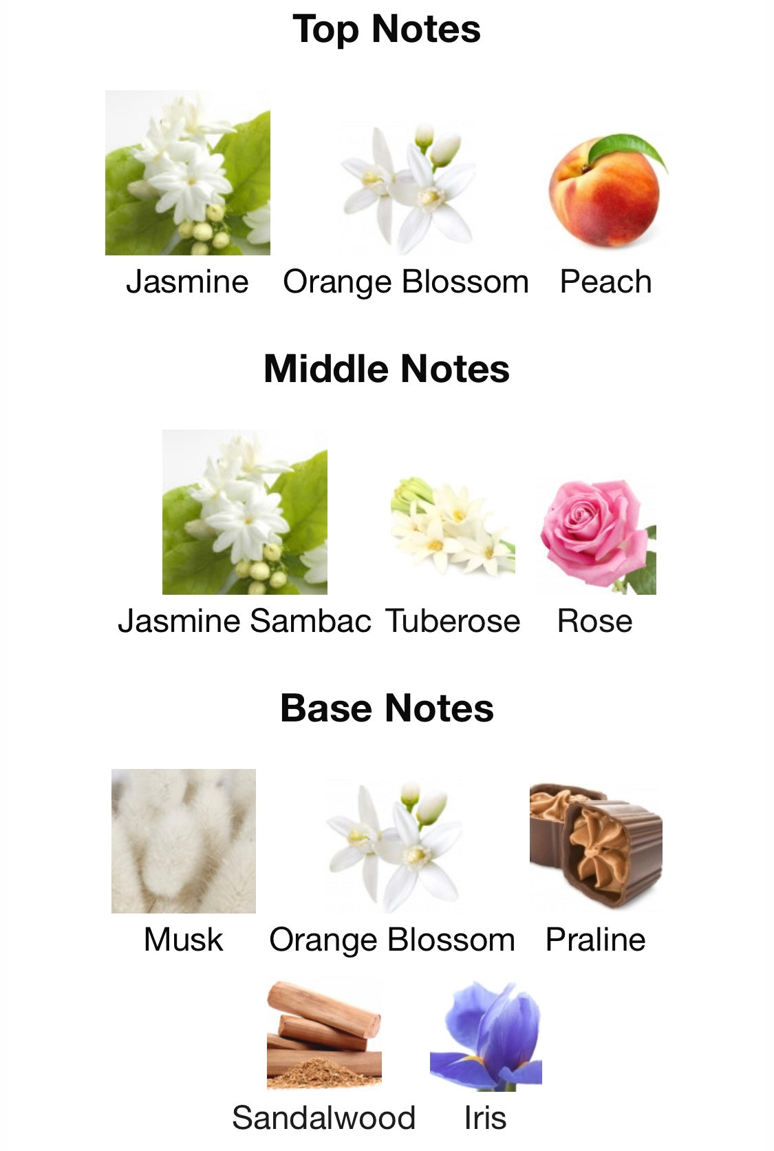 Creed - Wind Flowers