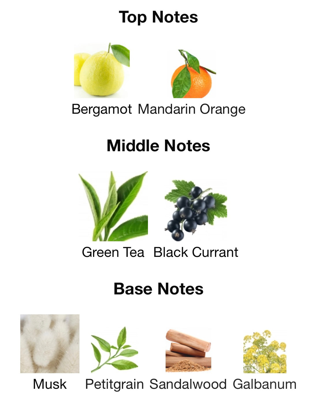 Creed - Silver Mountain Water