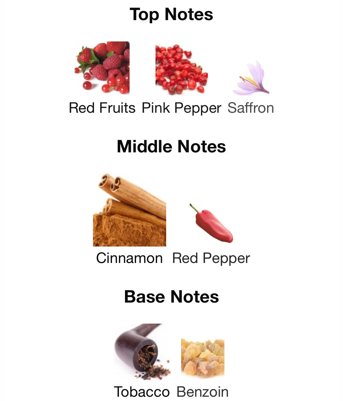 Viktor & Rolf - Spicebomb Infrared