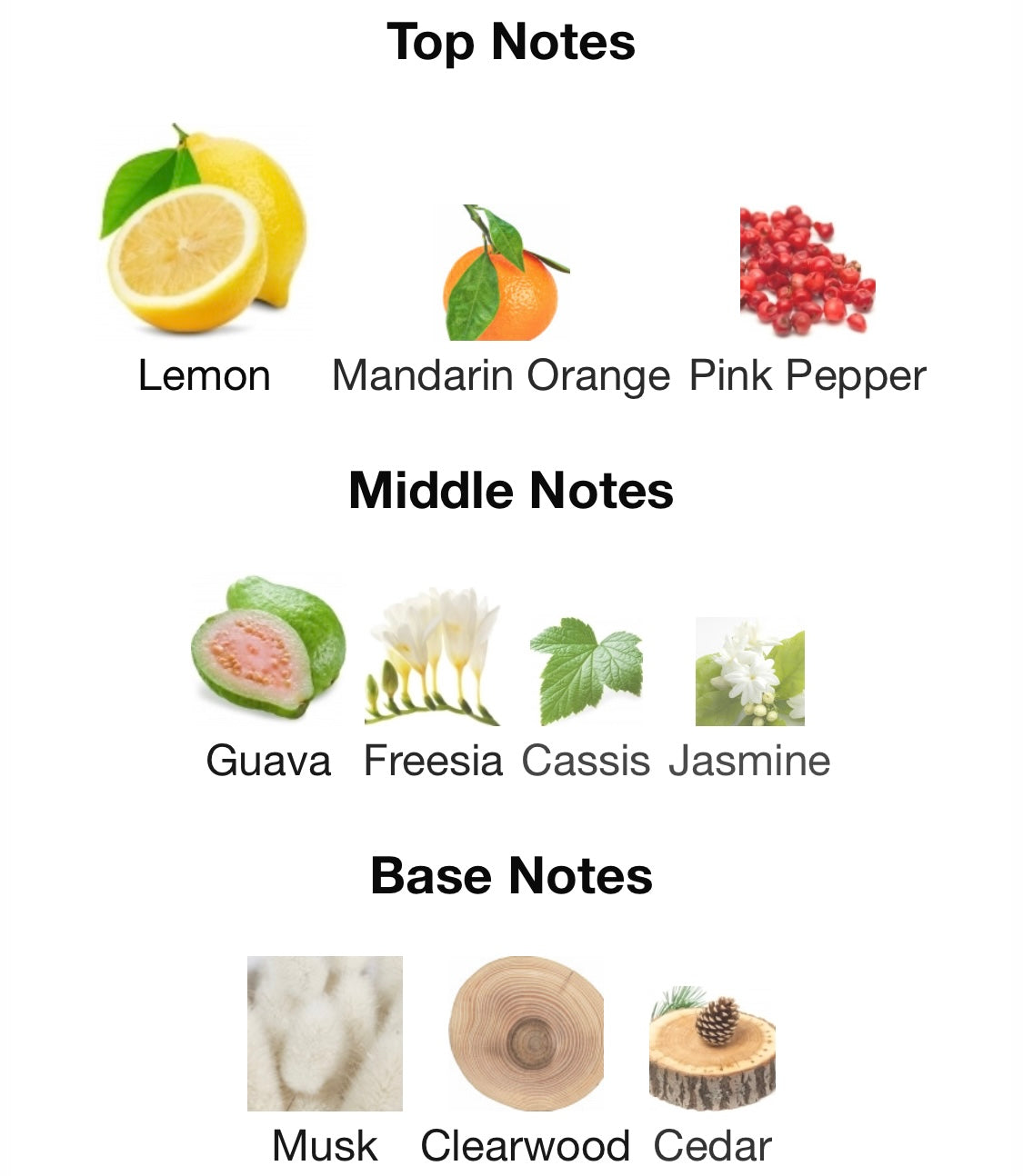 Versace - Dylan Turquoise Pour Femme