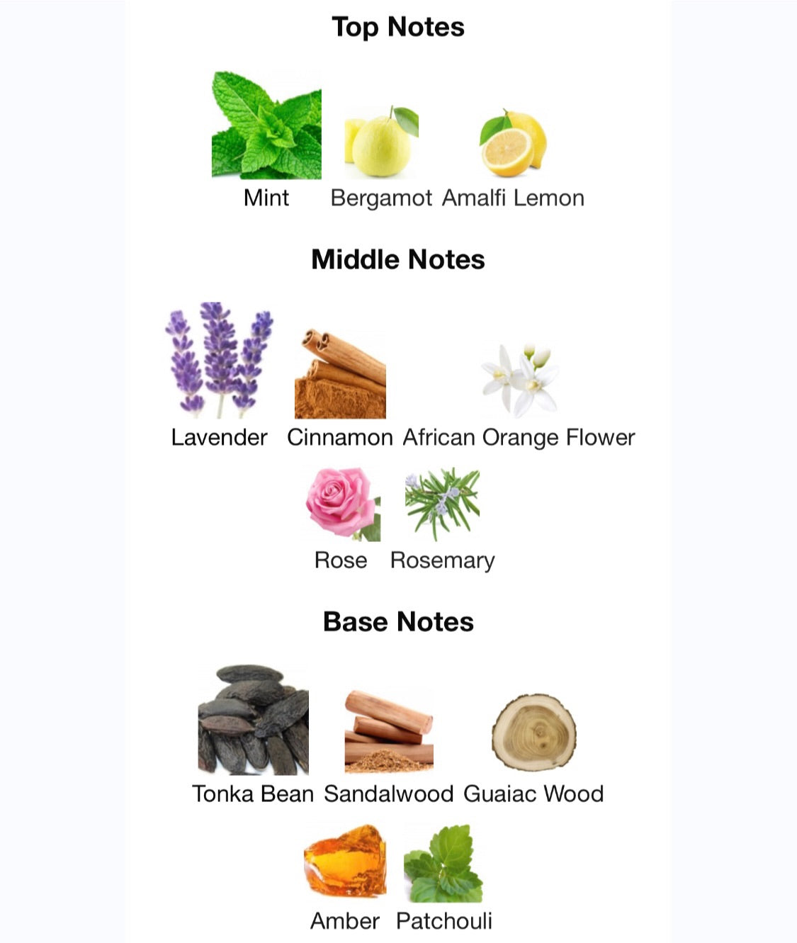Parfums de Marly - Darley