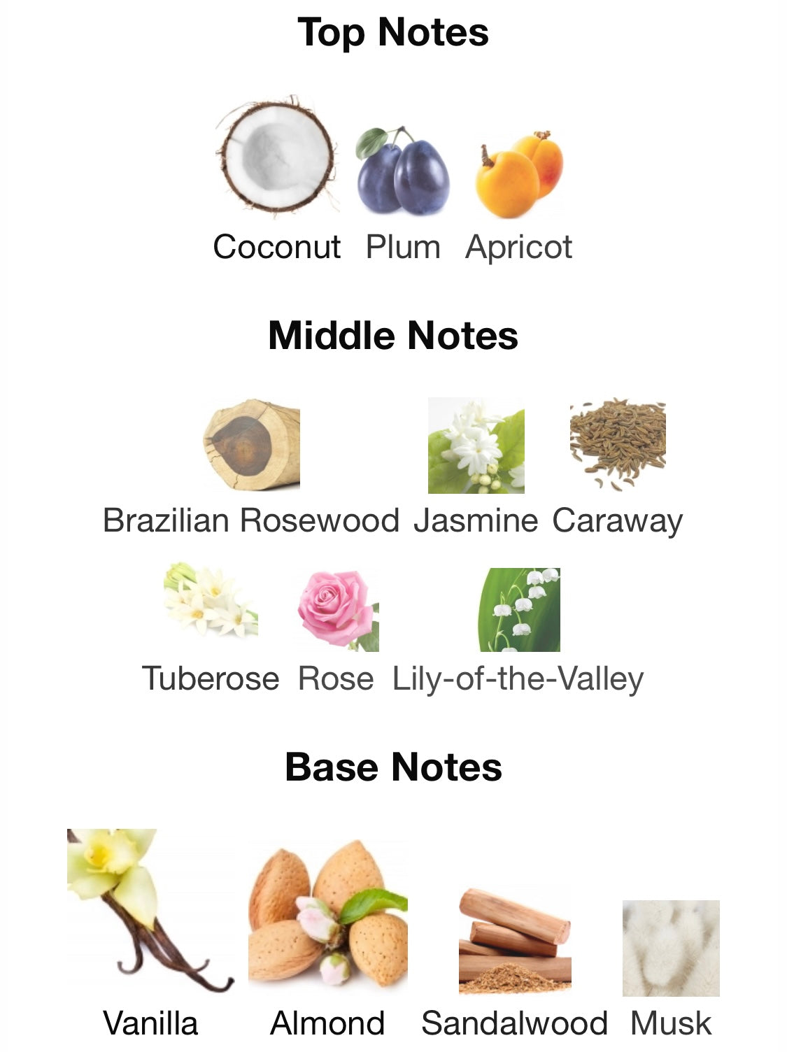 Dior - Hypnotic Poison