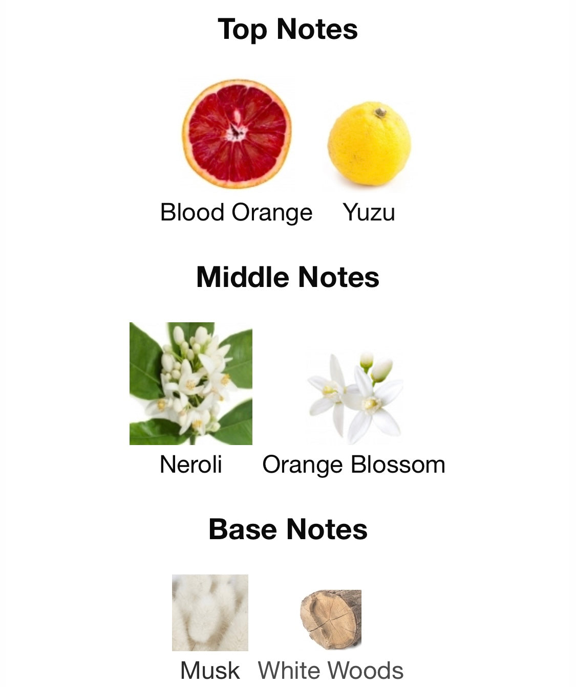 Jean Paul Gaultier - Le Male ‘Pride’ Edition