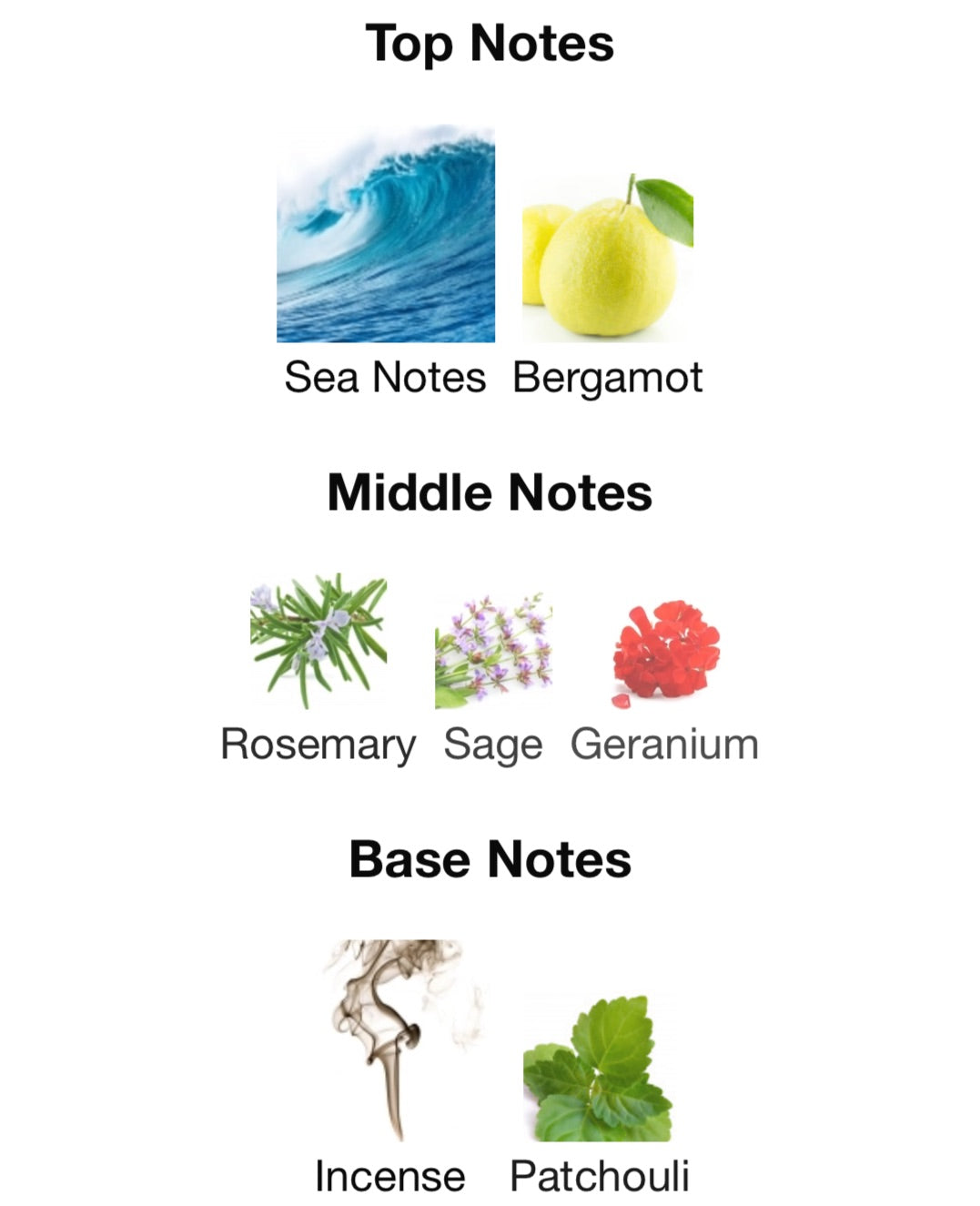 Giorgio Armani - Acqua di Giò Profumo