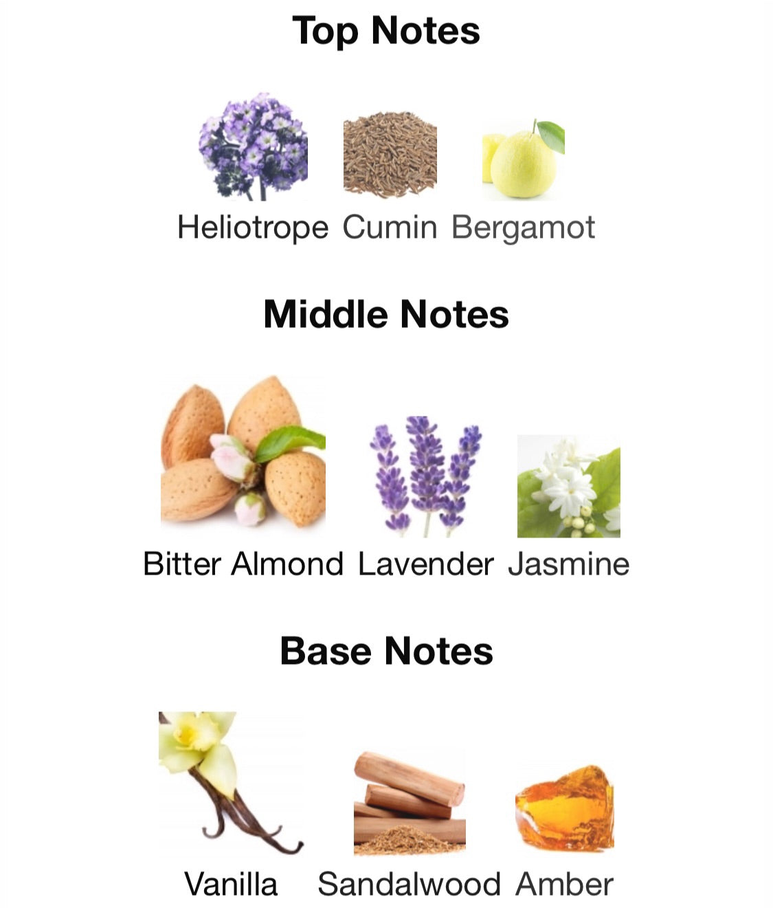 Parfums de Marly - Pegasus