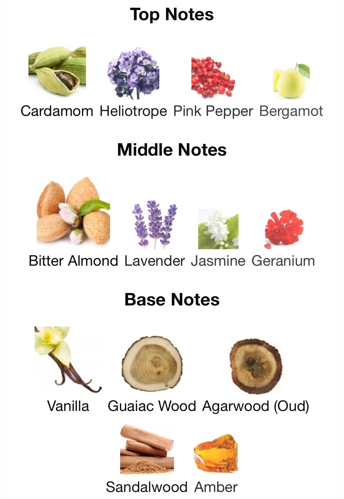 Parfums de Marly - Pegasus Exclusif