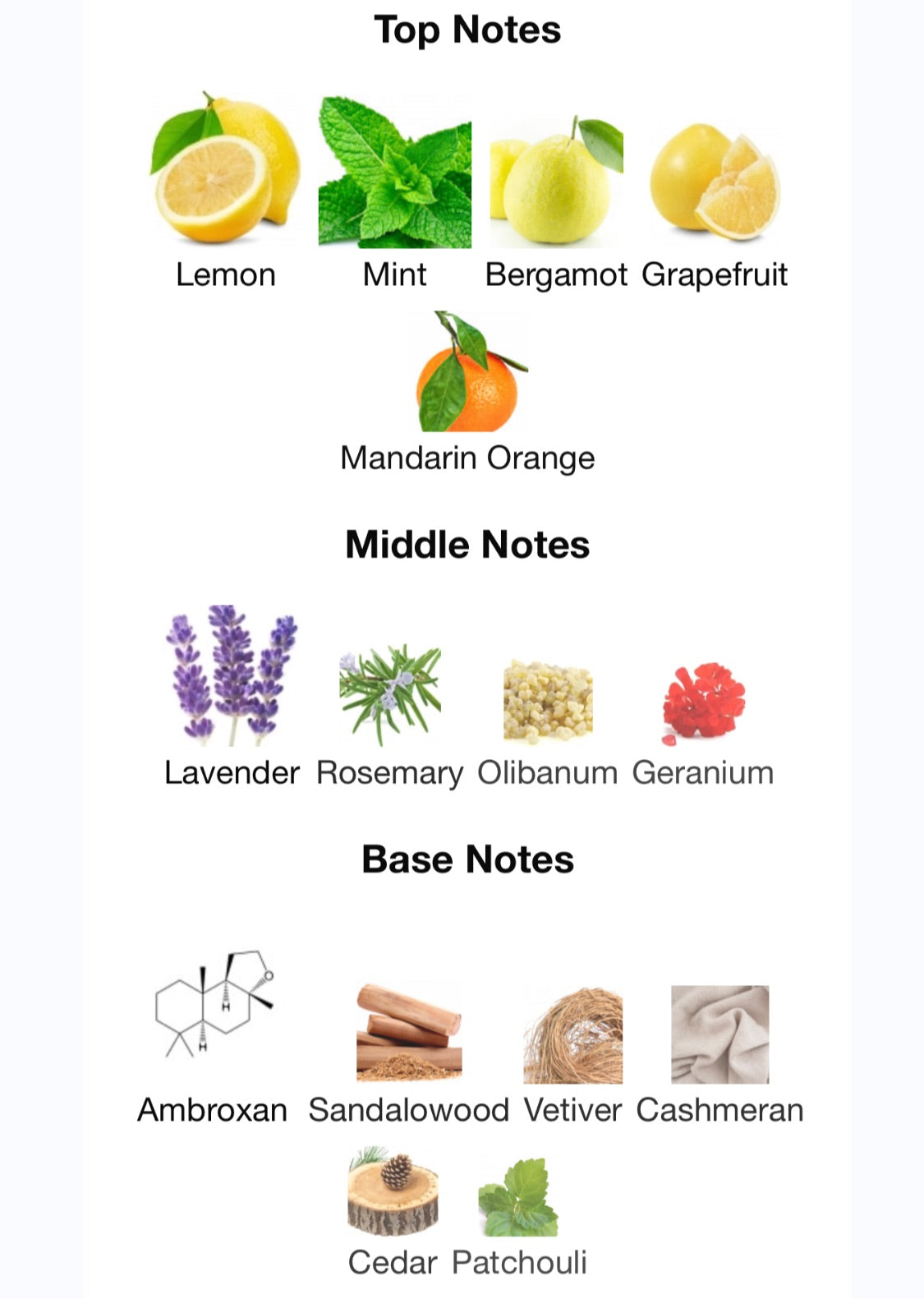 Parfums de Marly - Sedley