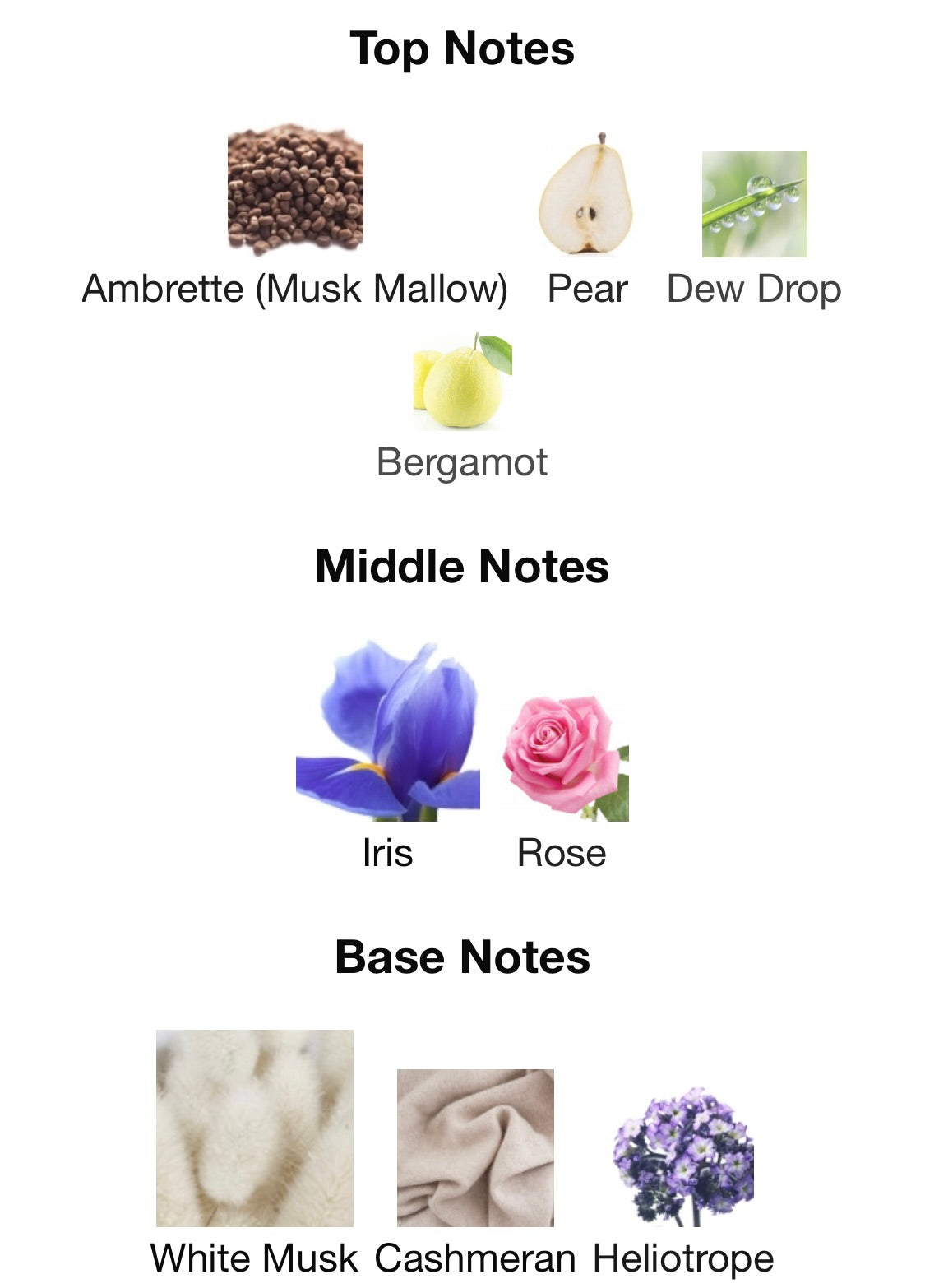 Viktor & Rolf - Flowerbomb Dew