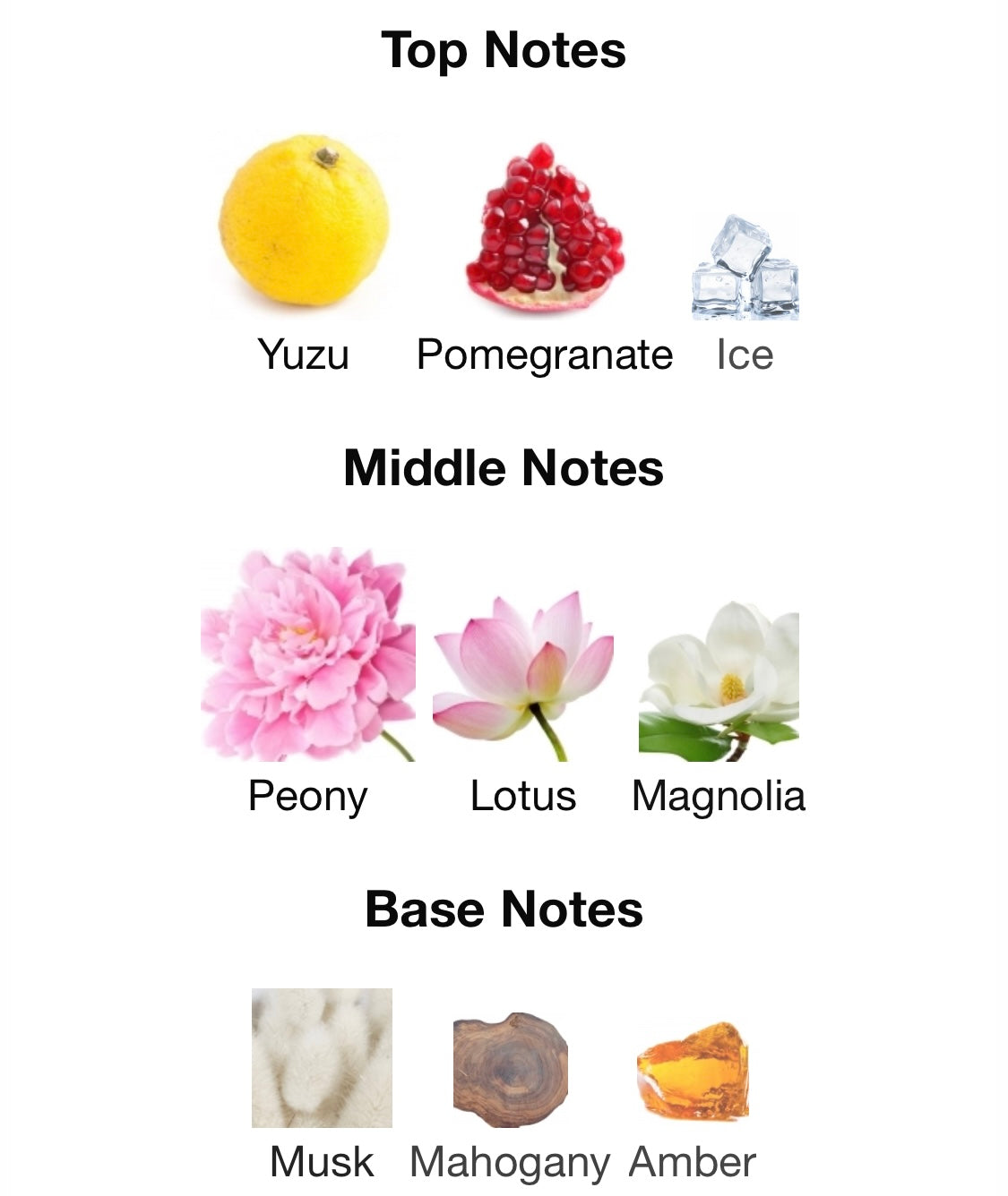 Versace - Bright Crystal