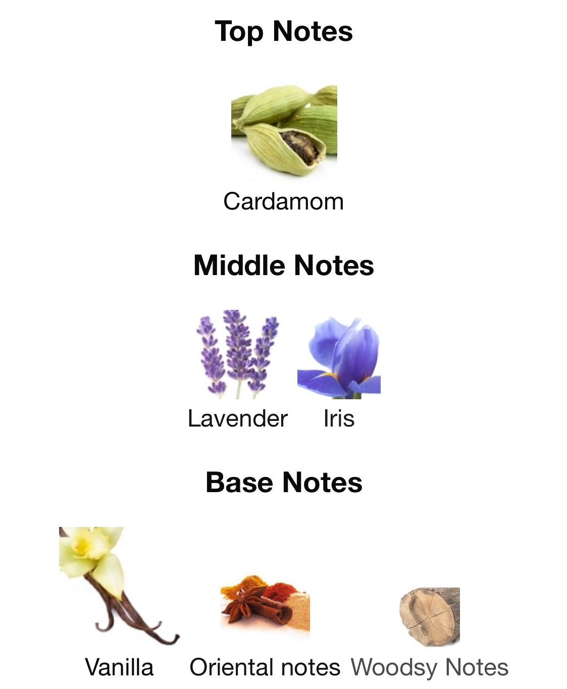 Jean Paul Gaultier - Le Male Le Parfum (EDP)