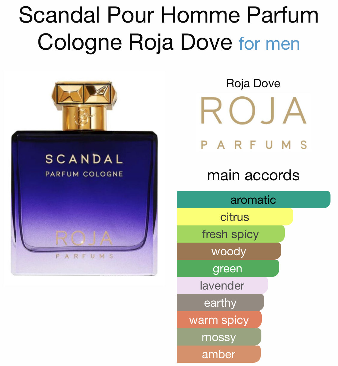 Roja - Scandal Pour Homme Parfum Cologne