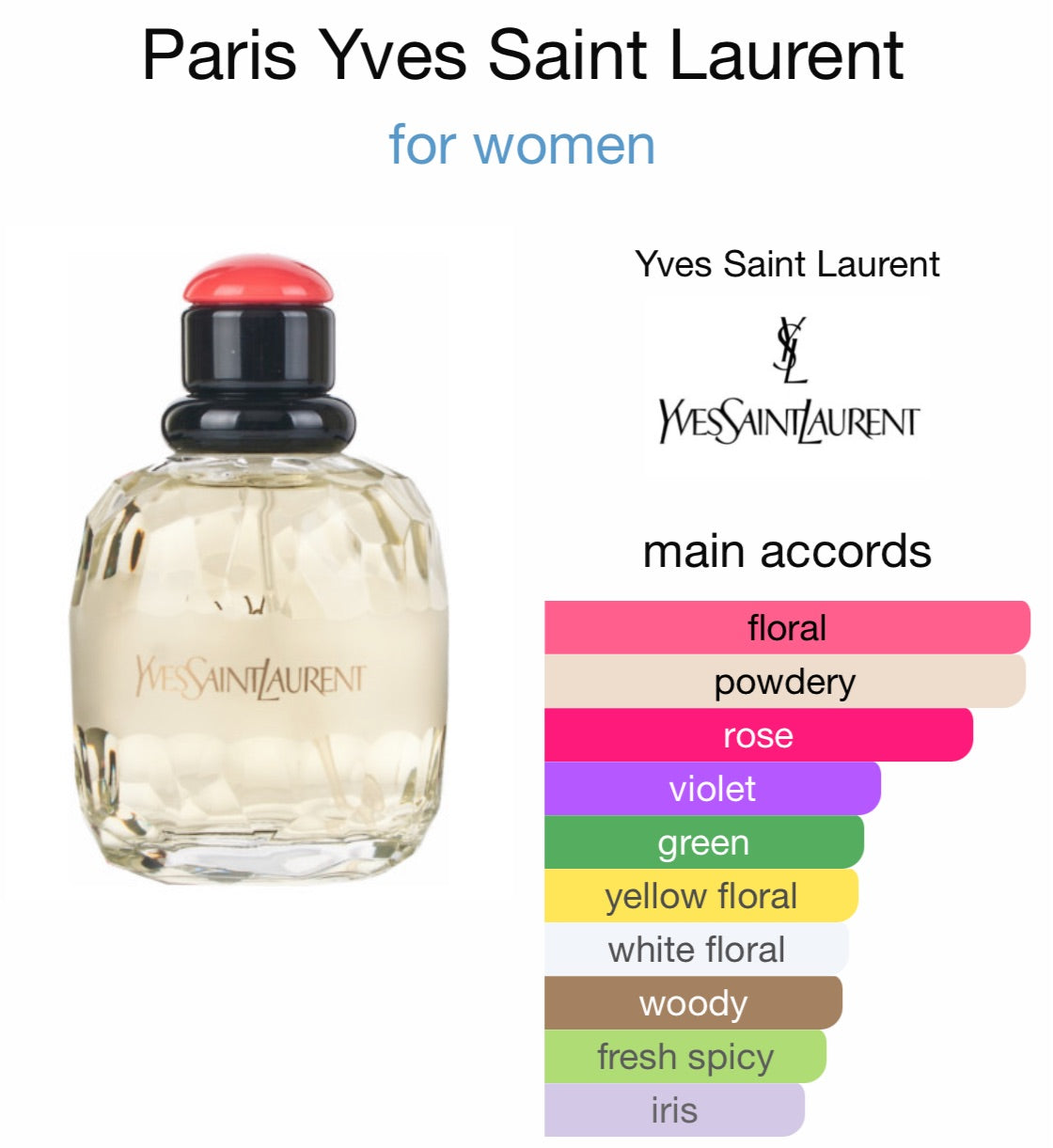 Yves Saint Laurent - Paris