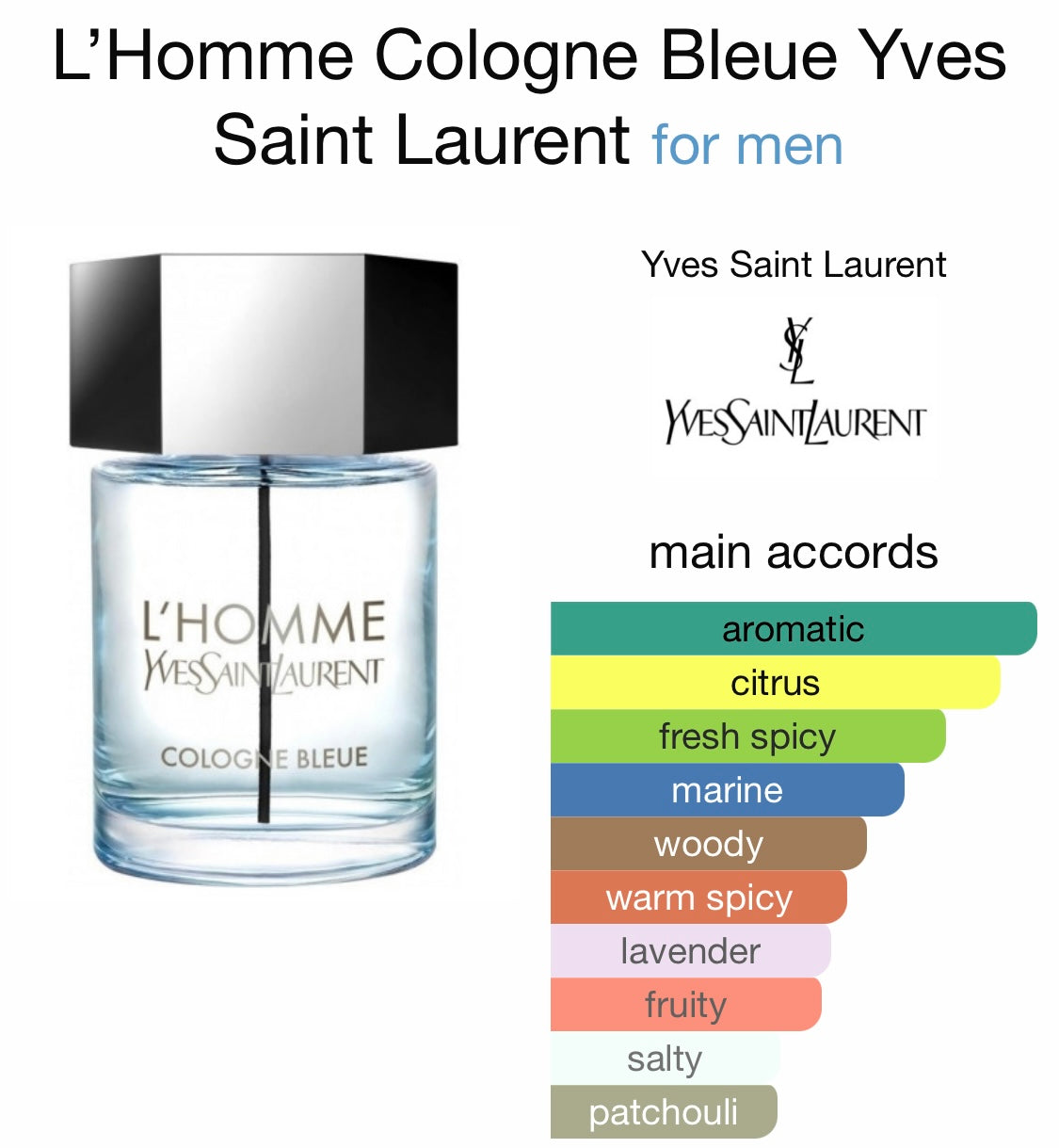 Yves Saint Laurent - L'Homme Bleue – Era 51 Creations